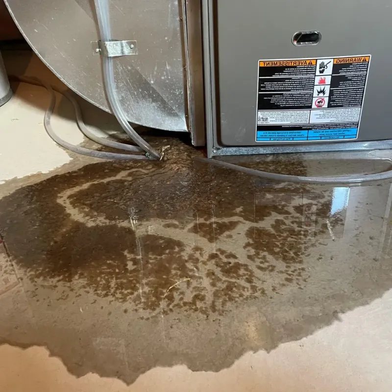 Pipe Burst and Leak Restoration in Gaylord, MI